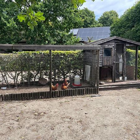Completely Renovated Back Part Of A Farm Villa Uden Buitenkant foto